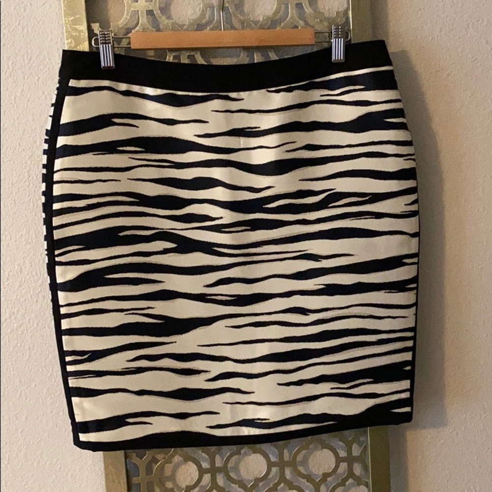 New with tags! Ann Taylor Skirt